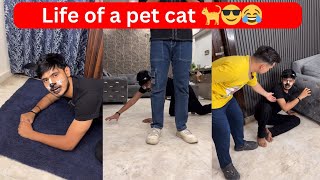 Life of a pet cat 🐈😎😂 | Chimkandi