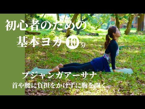 【初心者のための朝ヨガ】首・腰に負担をかけずに胸を開くコツ