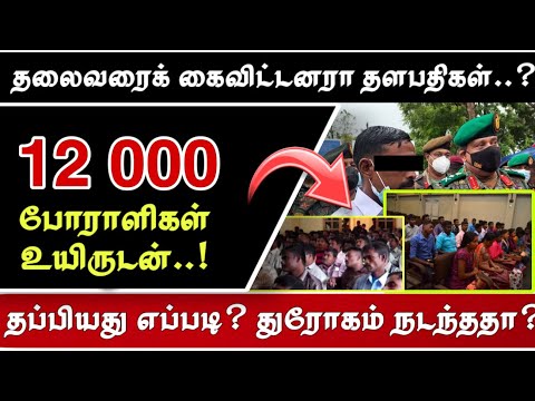 தளபதிகள் உயிருடன்.. தலைவர் மட்டும் எங்கே..?