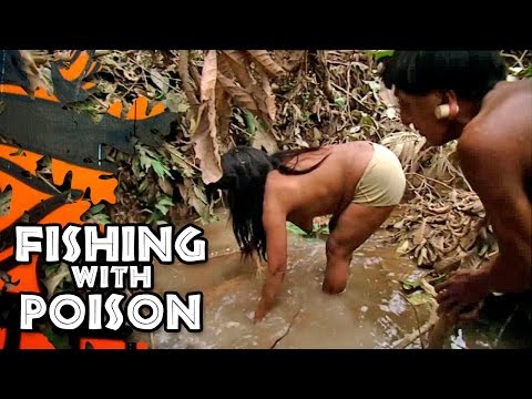 Fishing with Poison