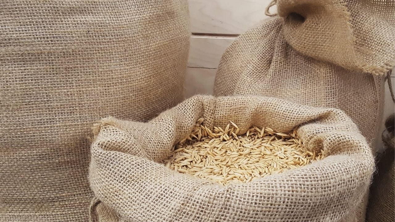 Food And Agriculture Organisation (FAO) : Role and Functions of FAO ...