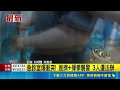 桃園急診室驚傳暴力事件！4男探病爆口角還揮拳襲警 警方強勢逮捕3人｜三立新聞LIVE
