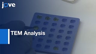 Alternative Approach For Sample Preparation-Low Cell Number For TEM Analysis l Protocol Preview