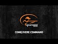 Tom Dokken - Come/Here Command - www.sportdog.com Tom Dokken - Come/Here Command - www.sportdog.com