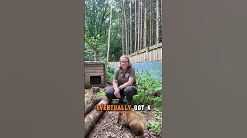 What Inspired You to Become a Zookeeper?