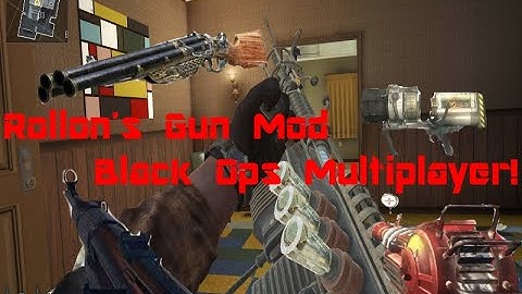 CUSTOM GUN MODS ON BLACK OPS! CoD: Black Ops Multiplayer - Rollon