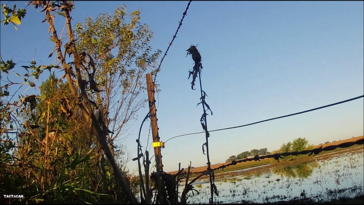Goose Opener Goose Season 2018 YouTube