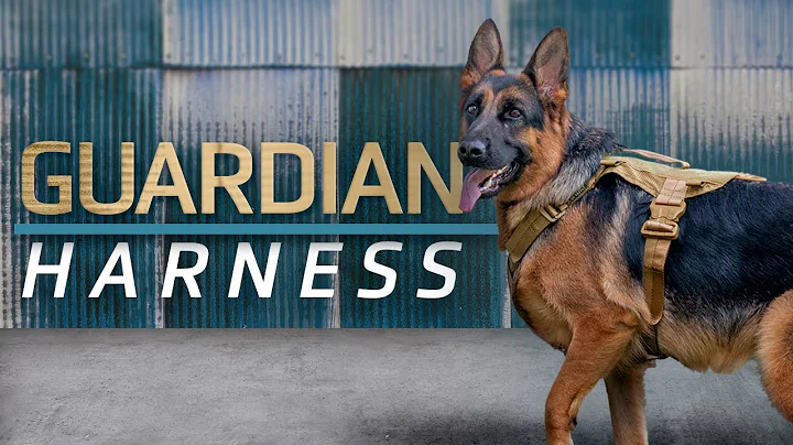 Guardian Dog Harness - Lightweight Tracking Harness