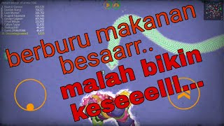 game cacing makan,game cacing makan buah screenshot 1