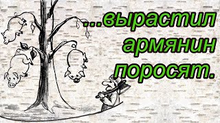 Анекдоты про любознательную девочку, пьяного мужика и армянина-фермера