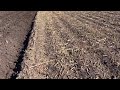 Подготовка почвы под кукурузу 06.10.18