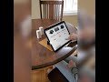 Apple S Magic Keyboard Case Or Zugu Muse January 2021 Apple S Magic Keyboard Case Or Zugu Muse January 2021