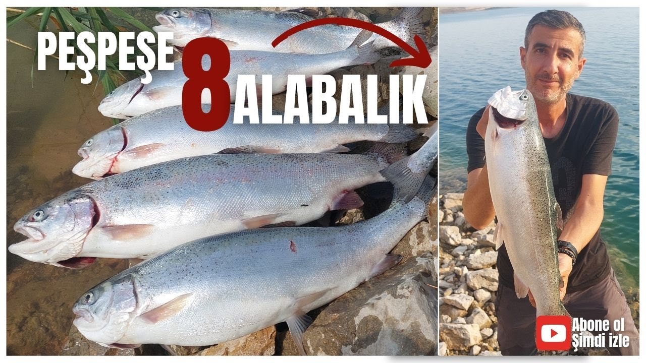 Balık Avı - Elazığ'ın Çılgın Alabalıkları - Ziller Hiç Susmadı 