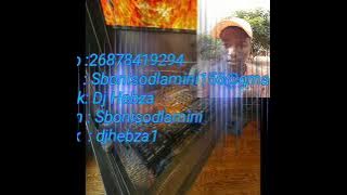 Dj Hebza  -  Sekukaningi Usenzel'okuhle
