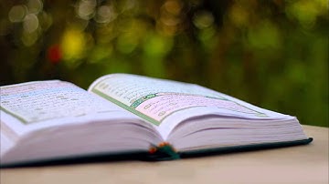 تلاوة خاشعة مما تيسر من سورة المائدة ، بصوت القارئ : عبد الرحمن السديس