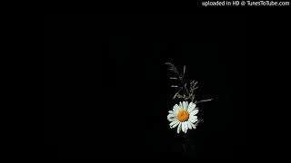 Kanathe Melle.. കാണാതെ മെല്ലെ....