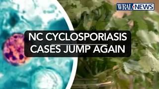 Cyclosporiasis cases jump again, now 435 confirmed cases in Wake County