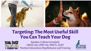 Targeting –  the most useful skill you can teach your dog