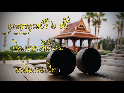 คุณลุงคุณป้า - พิณพาทย์ไม้นวม เพลินเพลงไทย Khun Lung Khun Pa - Pi Phat band,enjoy Thai music