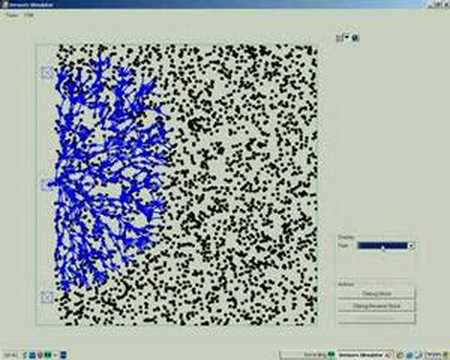 Large-Scale Wireless Sensor Network