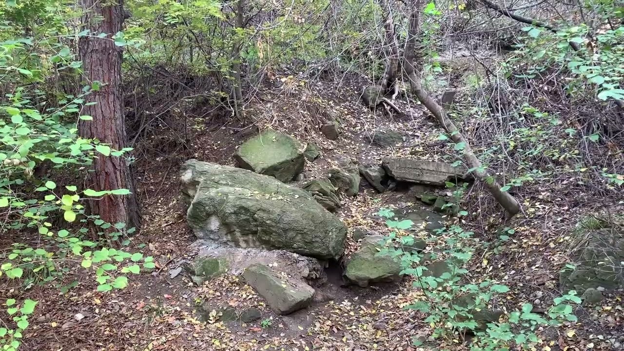 VLOG ❤ ТБИЛИСИ ❤ КАНАТНАЯ ДОРОГА ❤ ЧЕРЕПАШЬЕ ОЗЕРО ❤ ОСЕННИЙ ДЕНЁК ❤ ПРОГУЛКА ❤ RELAX ❤#subscribe #👍