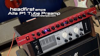 headfirst amps: ALTA P1 Tube Preamp