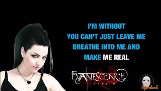 Evanescence  "Bring Me to Life" Lyrics