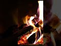 Cozy Fireplace Crackling | Deep Sleep Ambient #Shorts