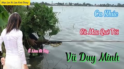 Quê Hương Là Chùm Khế Ngọt # Ca Khúc # Cà Mau Quê Tôi # Vũ Duy Minh # TT 2023