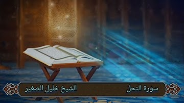 الشيخ خليل الصغير  سورة النحل  من  الآية ٩٣ - نهاية سورة النحل