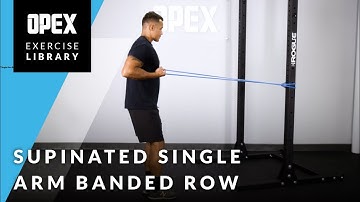 Supinated Single Arm Banded Row - OPEX Exercise Library