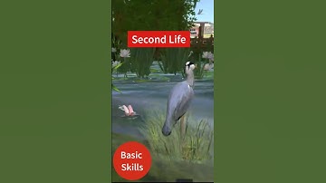 Basic Skills in Second Life