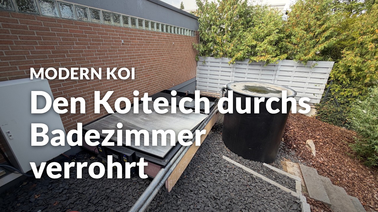 Danielas Bürstenfilteranlage am 31.000l Teich  Modern Koi Blog #8367