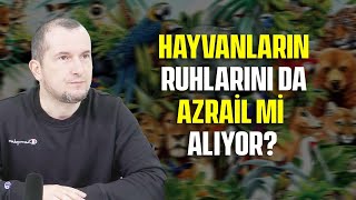 Hayvanların ruhlarını da Azrail mi alıyor? / Kerem Önder Resimi