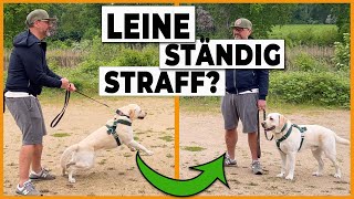 Hund an der Leine führen I So bleibt die Leine locker!