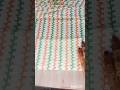 independence day ki saree par fall🫡#independenceday#silai #silaisikhe#trending