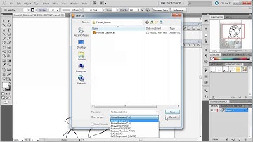 018 AI CS5 Export Options