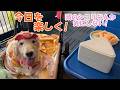 【体の事】頭のシコリがピンポン玉くらいに大きくなってしまいましたが、楽しく過ごしています。