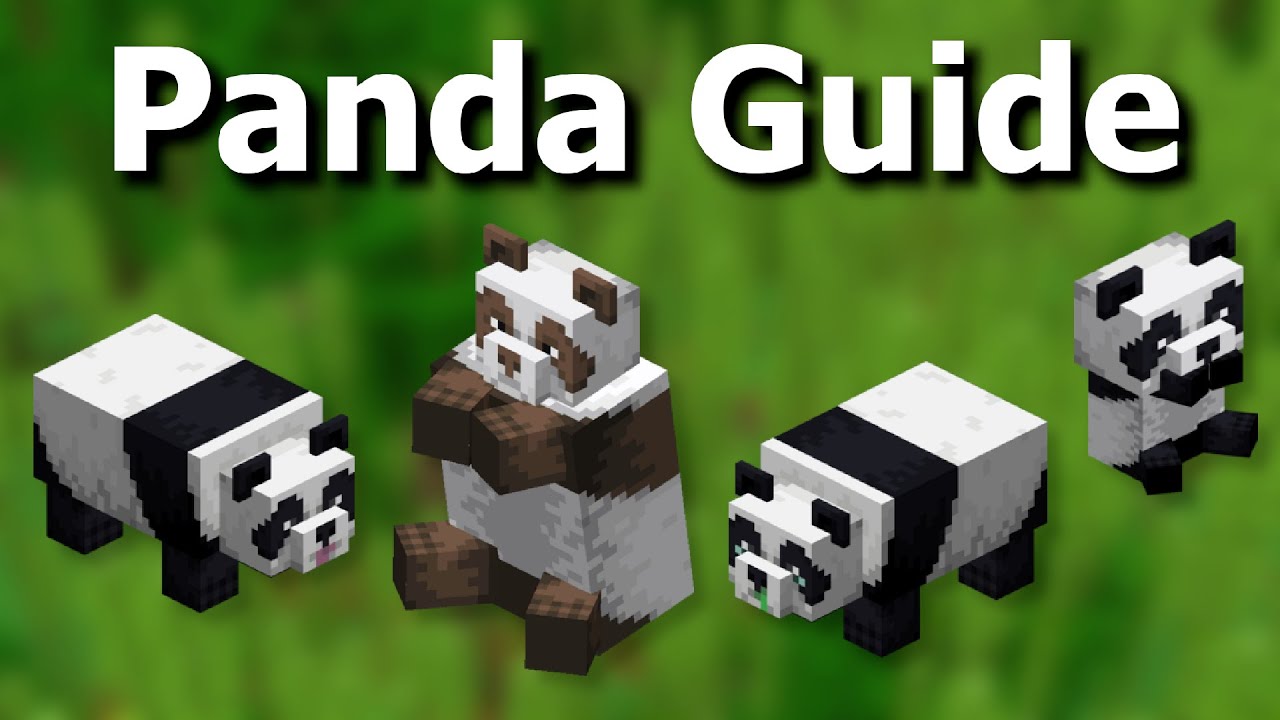 Everything There is to Know About Pandas in Minecraft - Mob Guide - YouTube
