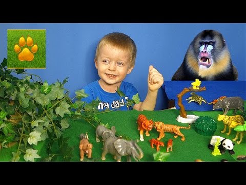 Путешествие В Джунгли С Lion Boy Животные Джунглей Для Детей Детям Про Животных Видео Для Детей