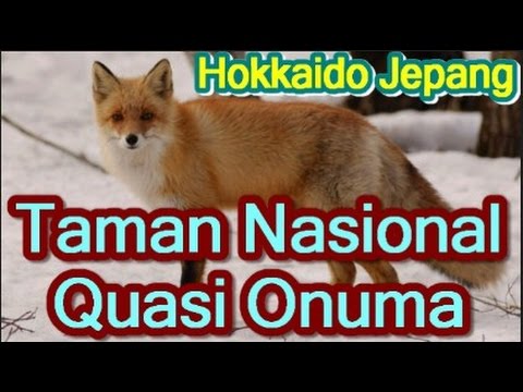 Video: Taman Nasional Terbaik di Hokkaido, Jepang