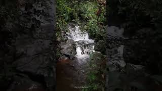 Dothalu Dola / දෝතළු දොළ  travel village trending beautiful waterfall දියඇලි Kalutara