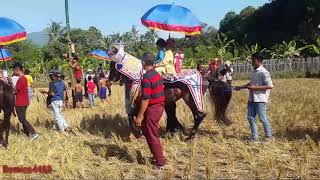 8 kuda renggong di Desa Ciliang hariang full saweran kuy bersma tanji Mgp group || Demico 4488