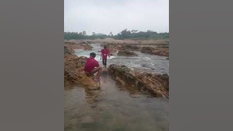 From Beginner to Pro A Complete Instructional Series on SkillTopic