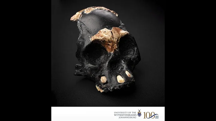Homo naledi, and the discovery of Leti with Dr. Ju...
