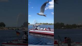 A Walk Through Hamburgs Beautiful - Jungfernstieg Promenade