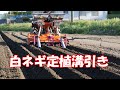 白ネギ【冬ネギ】定植溝引き作業‼後付自動操舵 FJ Dynamicsで楽々21/5/9＃1220