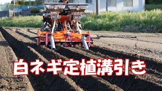 白ネギ【冬ネギ】定植溝引き作業‼後付自動操舵 FJ Dynamicsで楽々21/5/9＃1220