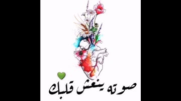 //حالات واتس آب // تلاوة خاشعة//للقارئ طارق محمد//