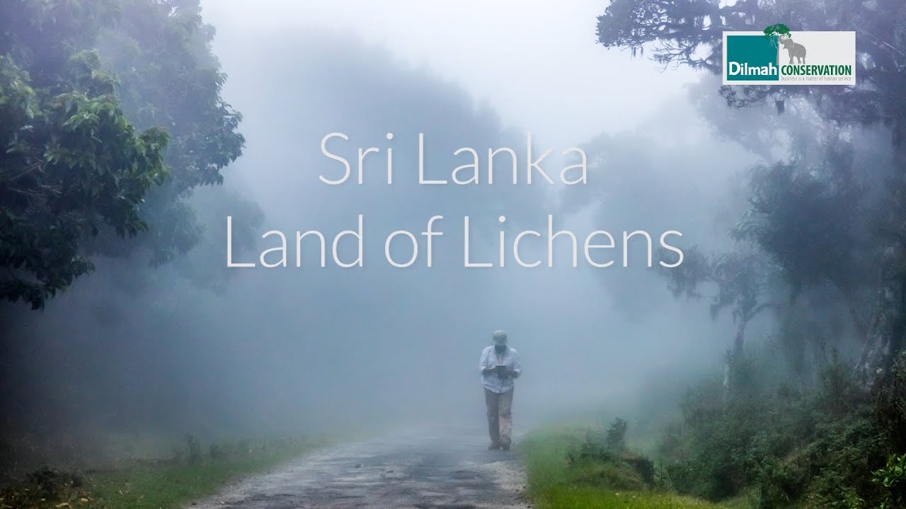Sri Lanka - Land of Lichens by Dilmah Conservation